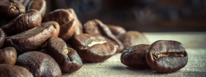 Exploring Specialty Coffee Beans - Arabica vs. Robusta